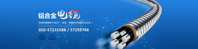 滄州市統(tǒng)計工作規(guī)范化建設(shè)推進會在華倫公司順利召開！