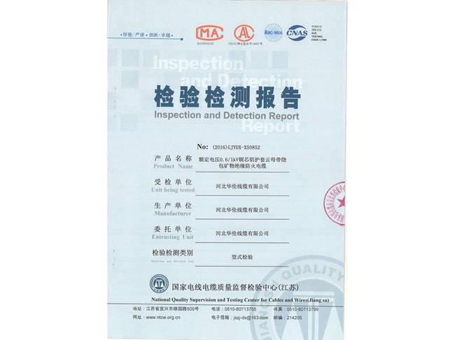 滄州市統(tǒng)計(jì)工作規(guī)范化建設(shè)推進(jìn)會(huì)在華倫公司順利召開！