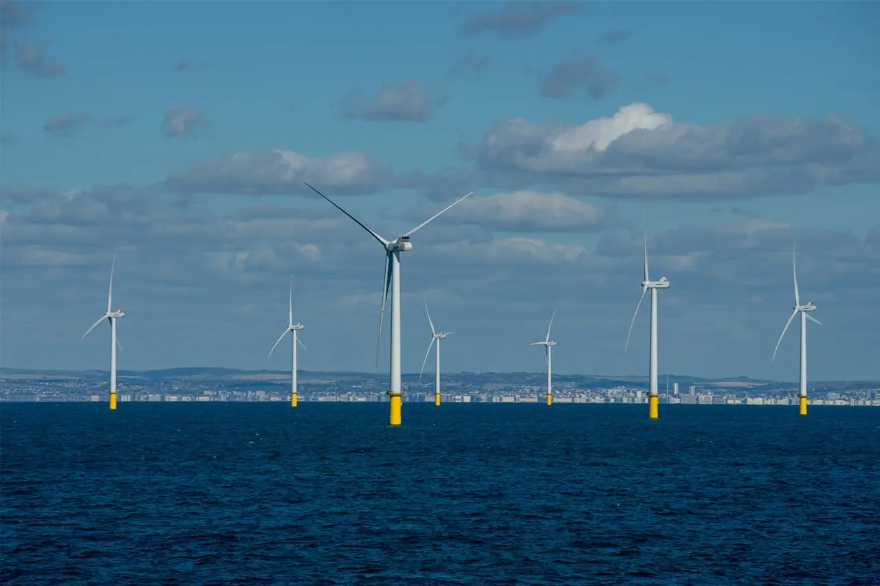 1655021775357112.jpg 1655021795713.jpg